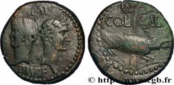 AUGUSTUS and AGRIPPA Dupondius COL NEM (as)