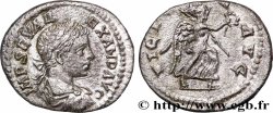 SEVERUS ALEXANDER  Denier