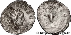 SALONINUS Antoninien