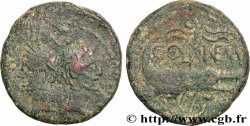 NEMAUSUS - NIMES - AUGUSTUS und AGRIPPA Dupondius COL NEM (as)