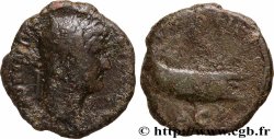 HADRIANUS As