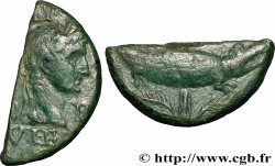 NEMAUSUS - NIMES - AUGUSTUS und AGRIPPA Dupondius COL NEM (as), coupé