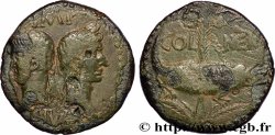 AUGUSTUS and AGRIPPA Dupondius COL NEM (as)