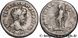 SEPTIMIUS SEVERUS Denier