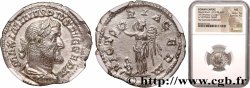 MAXIMINUS I Denier