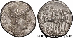 CAECILIA Denier