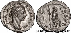 SEVERUS ALEXANDER  Denier