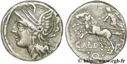 COELIA Denier 