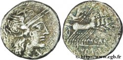PAPIRIA Denier