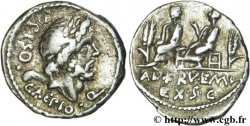 CALPURNIA Denier