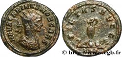 CARIN Aurelianus