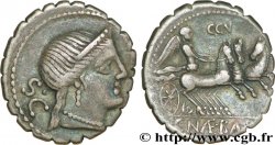 NAEVIA Denier serratus