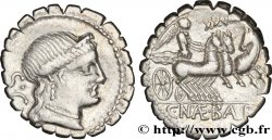 NAEVIA Denier serratus