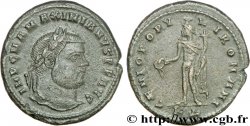 MAXIMIEN HERCULE Follis ou nummus