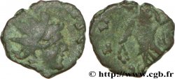 TETRICUS I Minimi