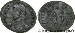 CONSTANS Maiorina