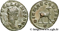 GALLIEN Antoninien SUP