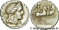 NAEVIA Denier serratus