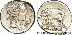 CAECILIA Denier