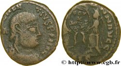 MAGNENCE Maiorina TTB