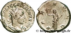 GALLIEN Antoninien SUP