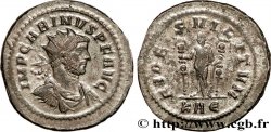 CARIN Aurelianus SUP
