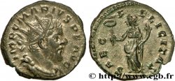 MARIUS Antoninien SPL