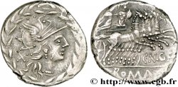 GELLIA Denier