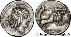 GIULIA Denier SPL/q.SPL