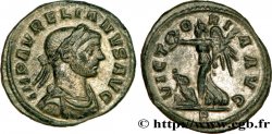 AURÉLIEN Demi-aurelianus SPL