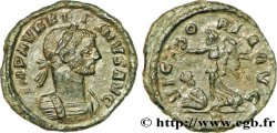 AURÉLIEN Demi-aurelianus SUP