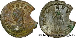 PROBUS Aurelianus TB+