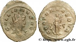 GALLIEN Antoninien SUP/TTB