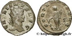 GALLIEN Antoninien SUP