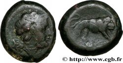 RÉPUBLIQUE ROMAINE - ANONYMES Double litra TB+