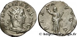 GALLIEN Antoninien TTB