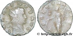 GALLIEN Antoninien TTB