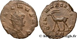 GALLIEN Antoninien TTB