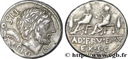CALPURNIA Denier