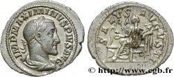 MAXIMINUS I Denier