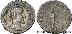 MAXIMINUS I Denier