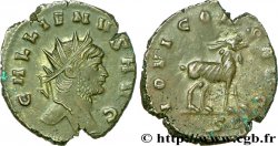 GALLIEN Antoninien SUP