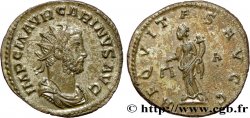 CARIN Aurelianus