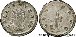 GALLIEN Antoninien SPL
