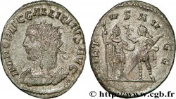GALLIEN Antoninien SUP