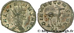 GALLIEN Antoninien TTB
