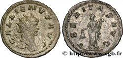 GALLIEN Antoninien SUP