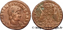 DECENTIUS Maiorina, (MB, Æ 2) fVZ