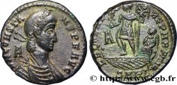 CONSTANS Maiorina