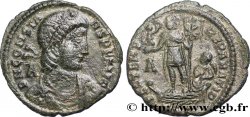 CONSTANS Maiorina